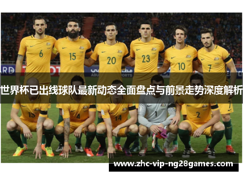 世界杯已出线球队最新动态全面盘点与前景走势深度解析